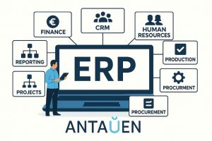MISE EN PLACE ERP PAR ANTAUEN