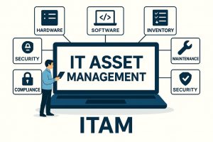 IT Asset Management Antauen